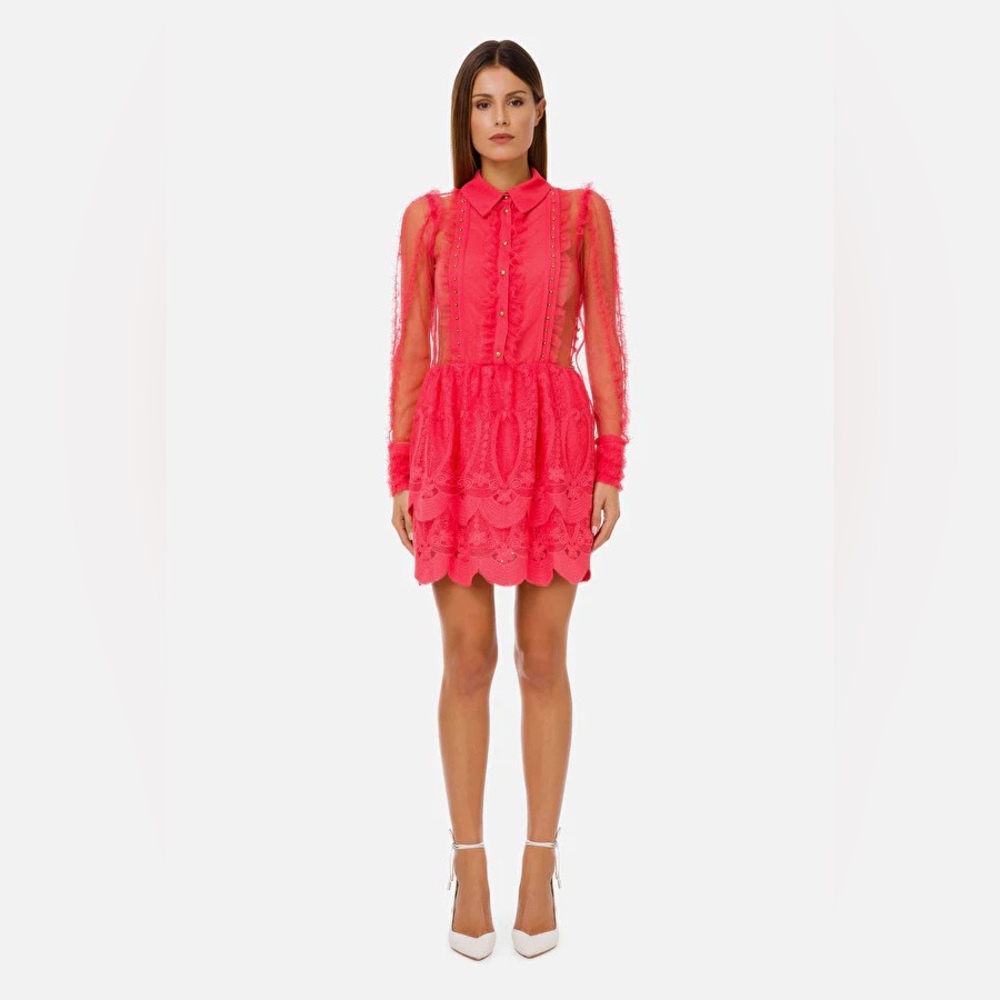 Elisabetta Franchi Long Sleeve Lace Dress